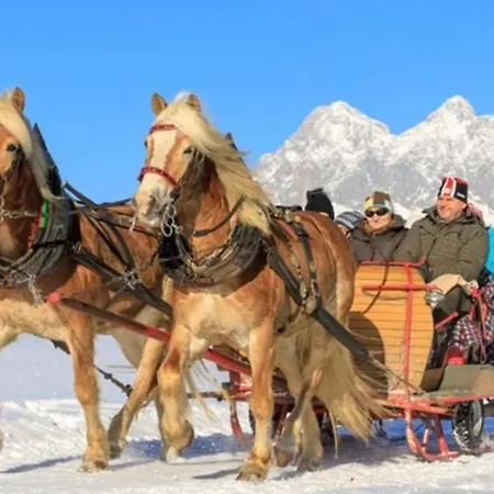 Naturnah Apartman Schladming