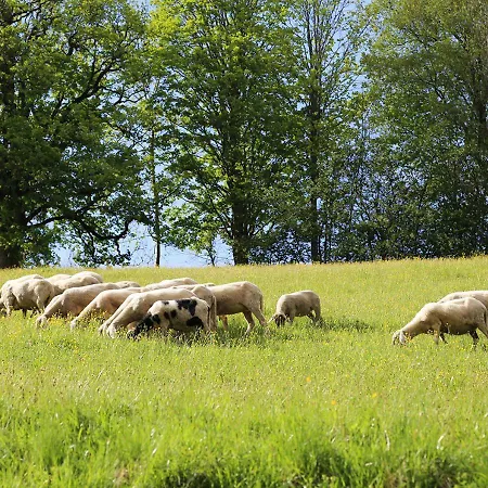 Naturnah * Schladming