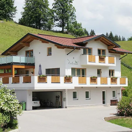 Naturnah Lägenhet Schladming