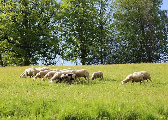 Naturnah * Шладминг