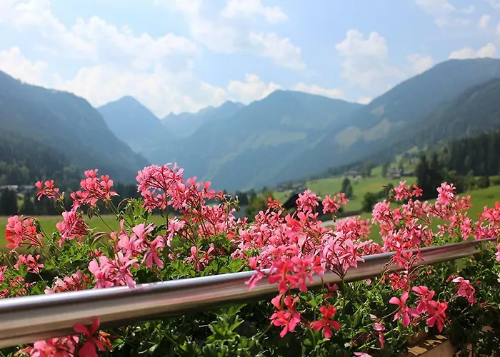 Apartament Naturnah *